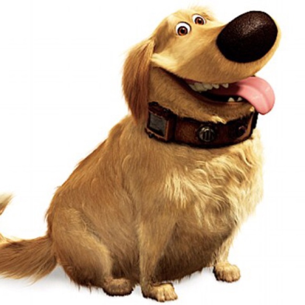 Meet your Posher, Bridgette